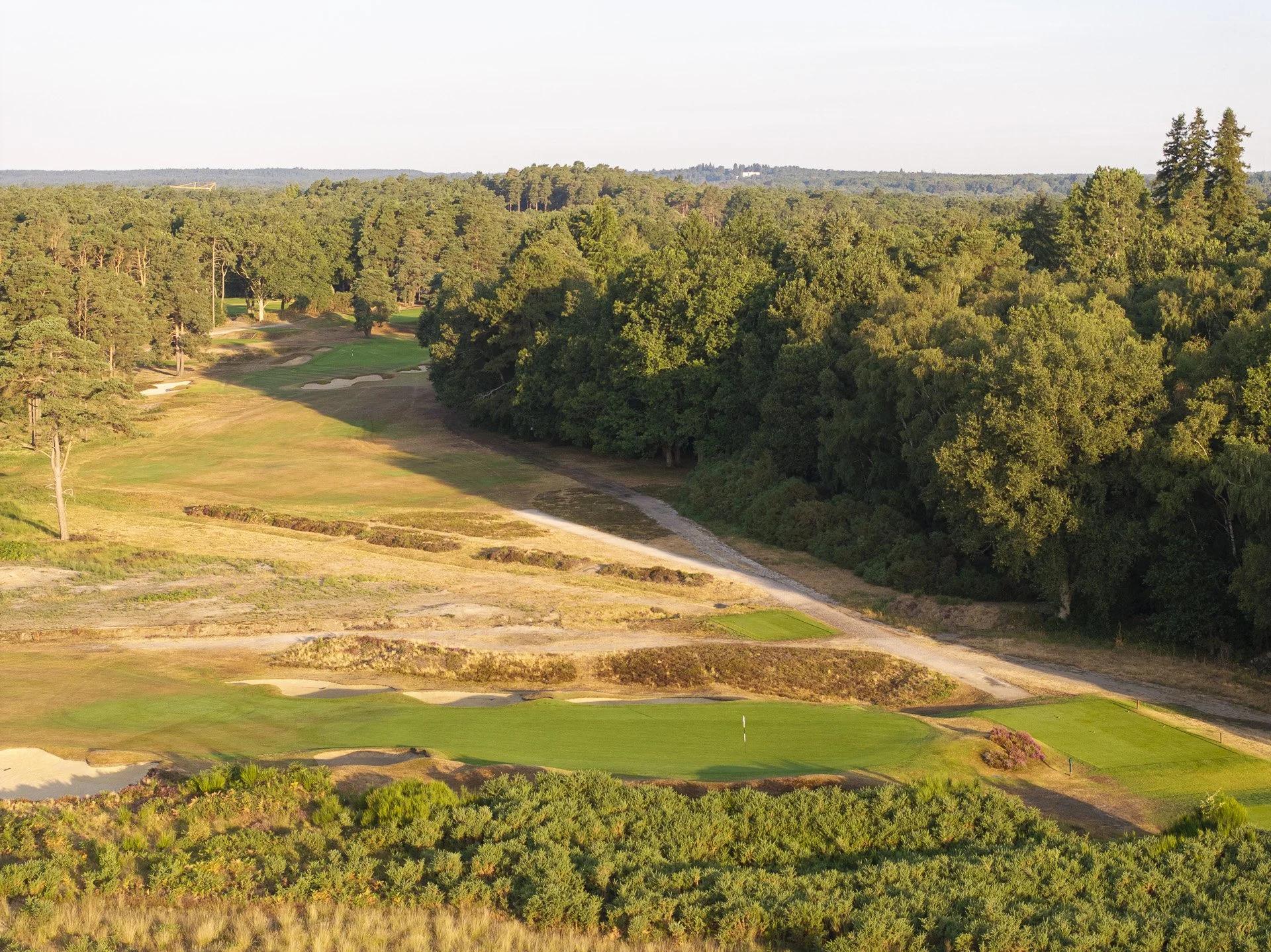 Sunningdale New Course--27.jpg