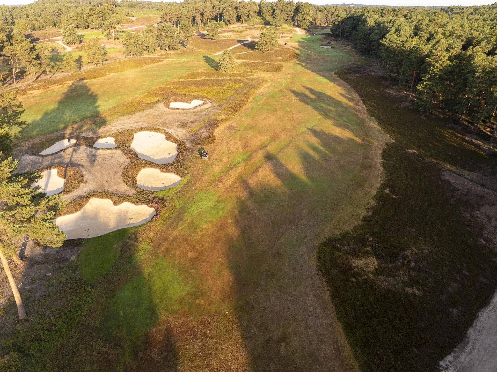 Sunningdale New Course--29.jpg