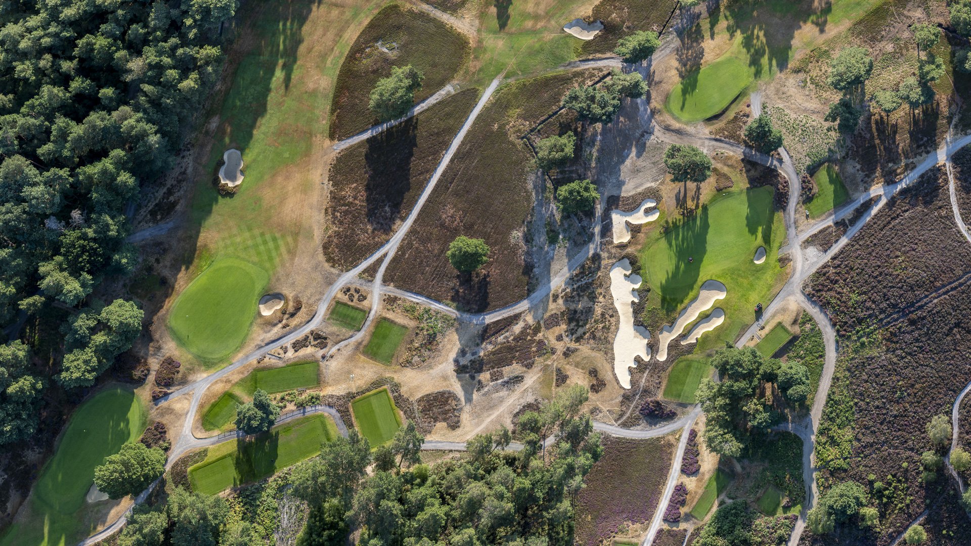 Sunningdale New Course-.jpg