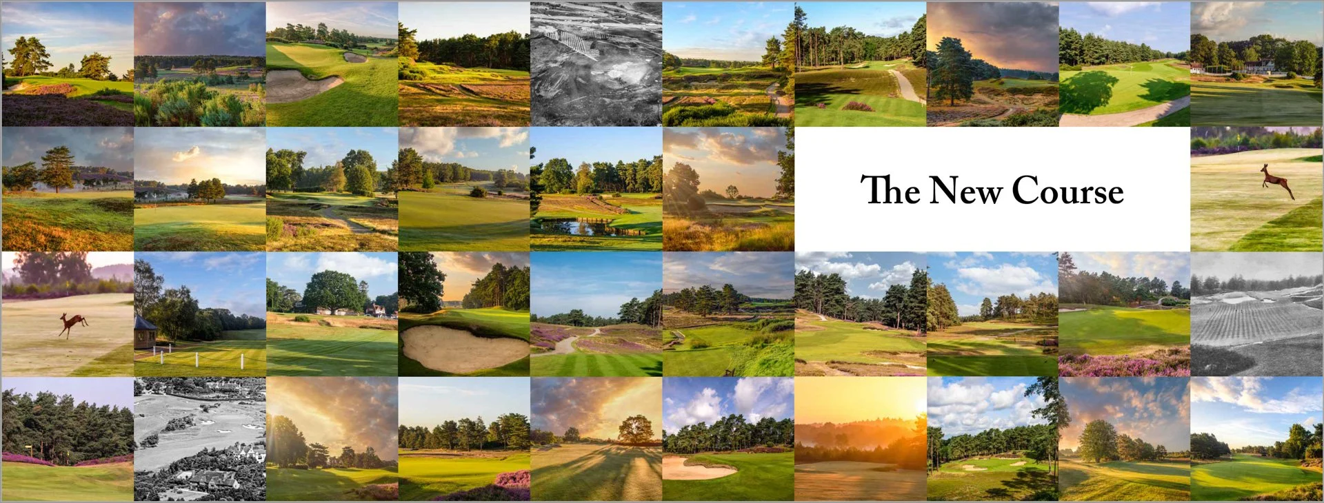 Sunningdale book-54.jpg