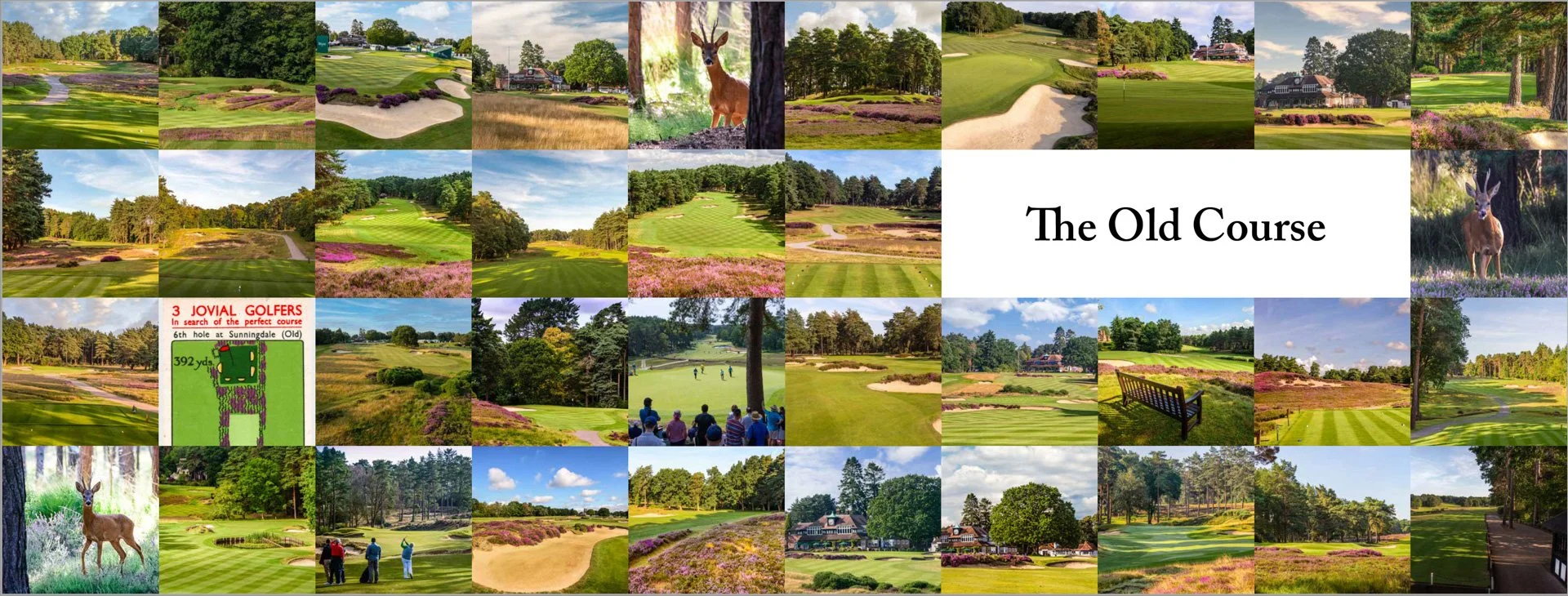 Sunningdale book-55.jpg