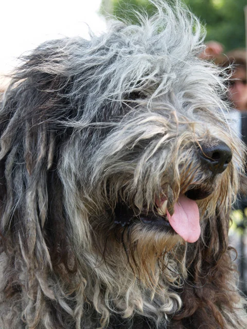 ugo_03_july_2006 2.jpg