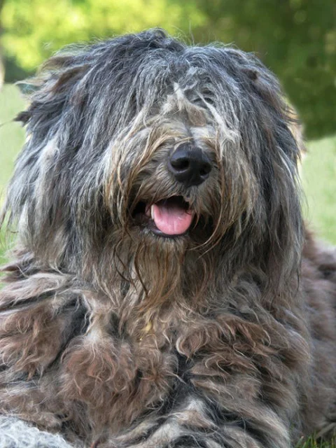 luna_01_july_2006 5.jpg