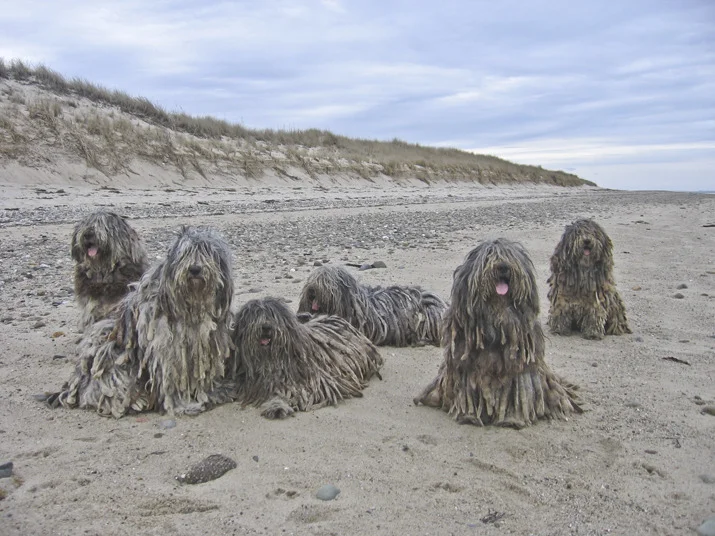 010180_0049 copy.jpg