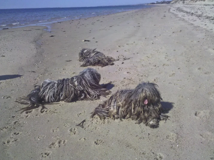 img_20120323_143238 copy.jpg