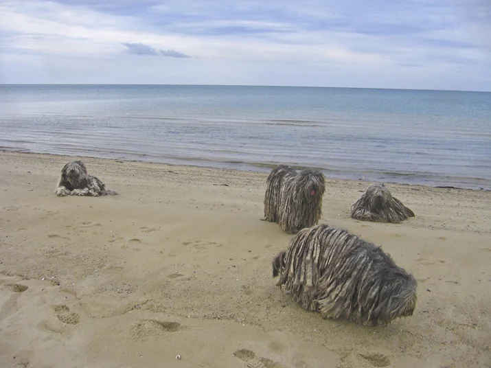 032412_0043 copy.jpg