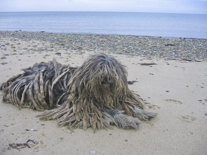 010180_0056 copy.jpg