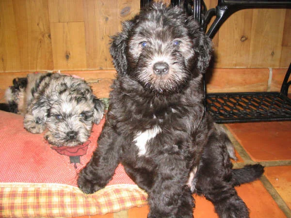 girl_and_boy copy.jpg