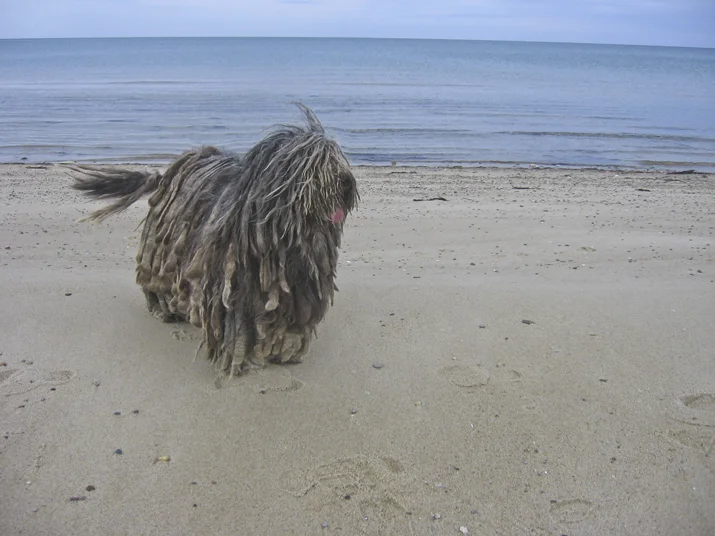 032412_0042 copy.jpg