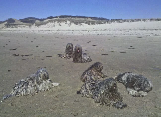 img_20120323_145009-1 copy.jpg