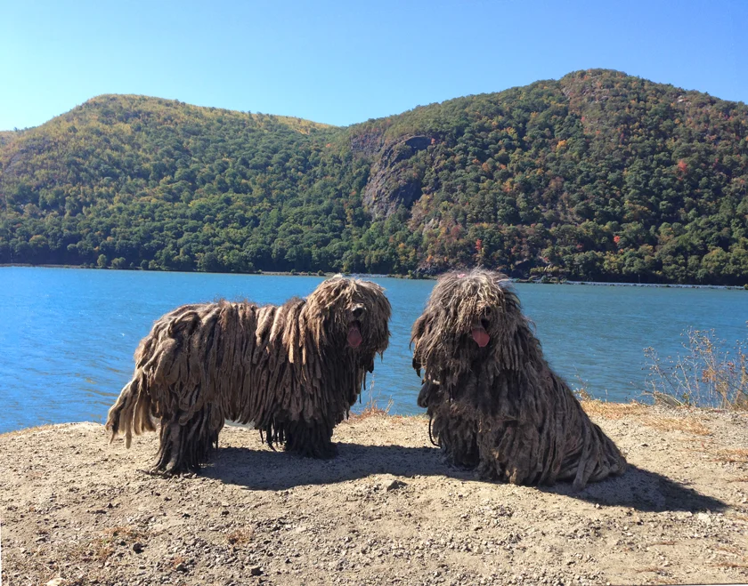 20140927_0421.JPG