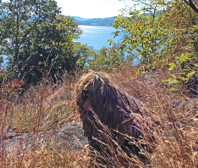 20140927_0422.JPG