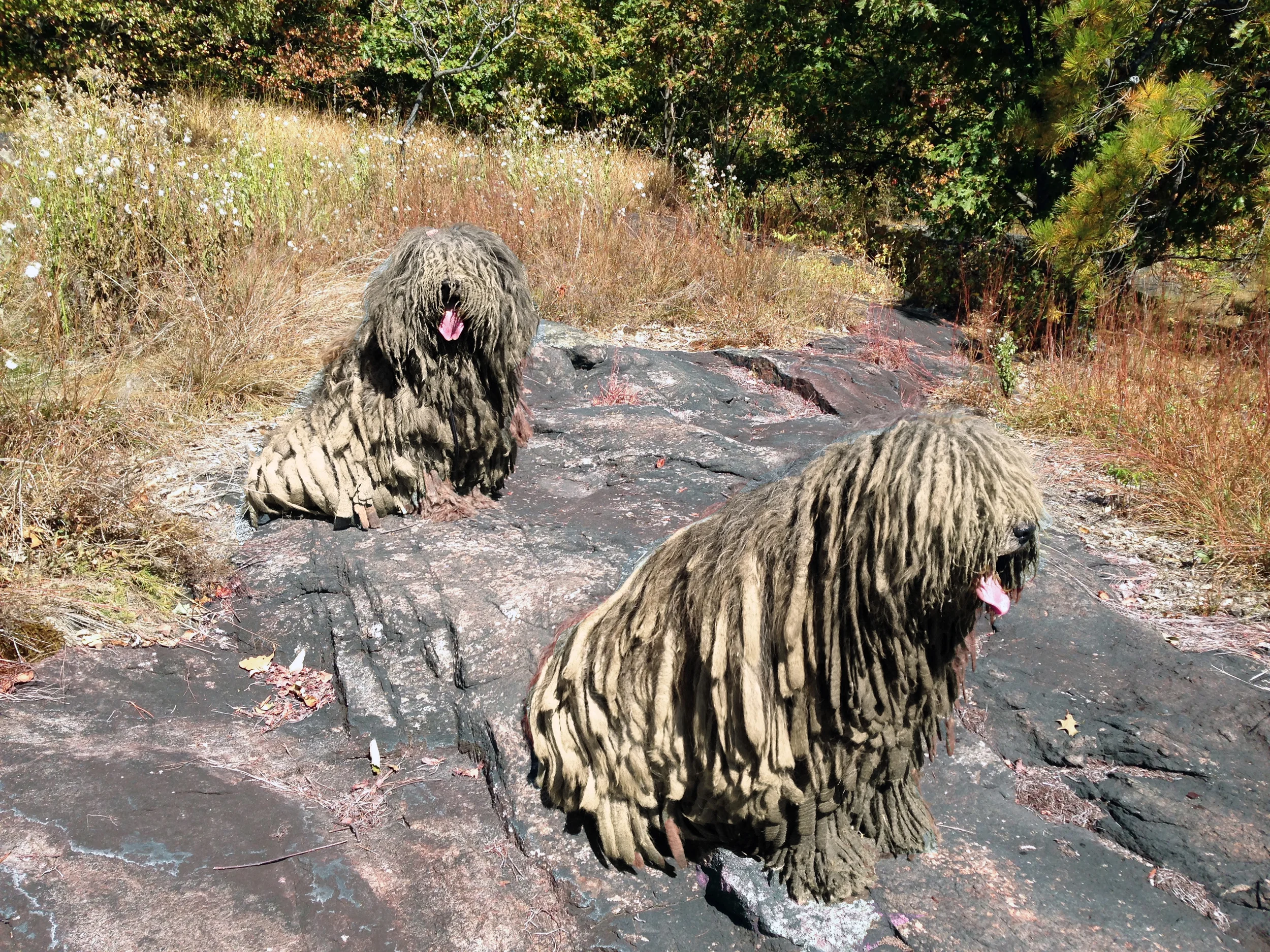 20140927_0425.JPG