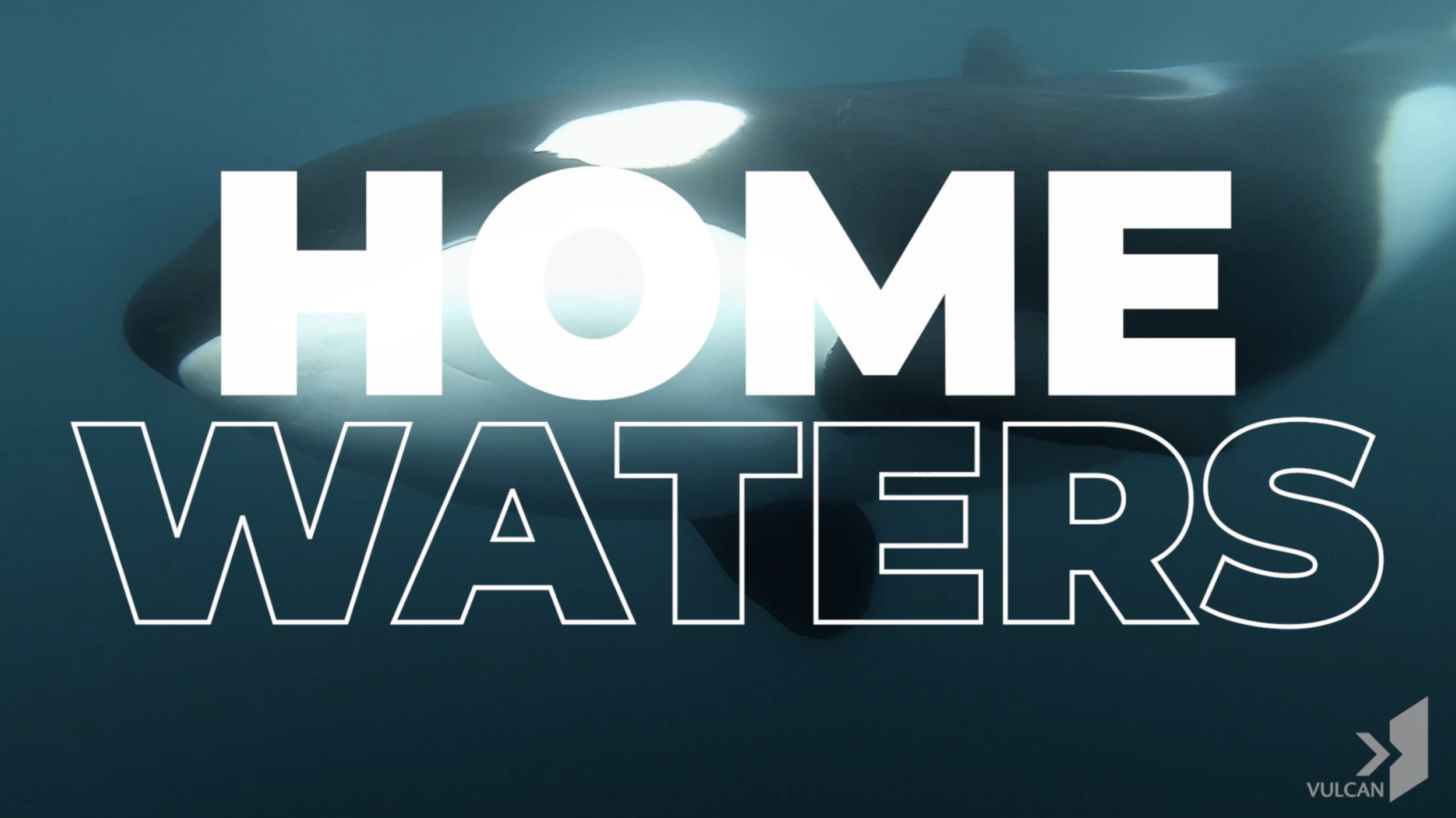 Screen Shot 2021-04-23 at 4.14.07 PM.png