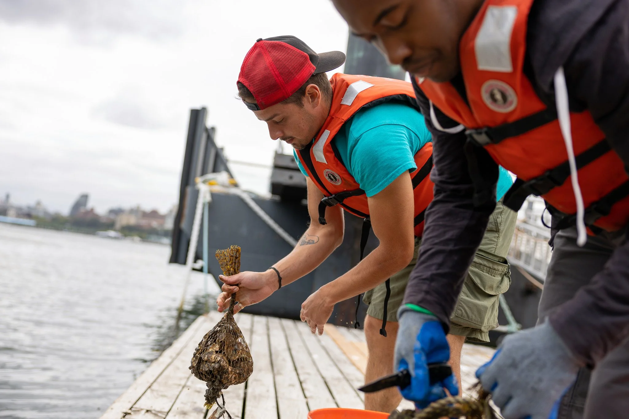 202409_April-Keller_Billion-Oyster-Project-Week_Governors-Island_1638.jpg