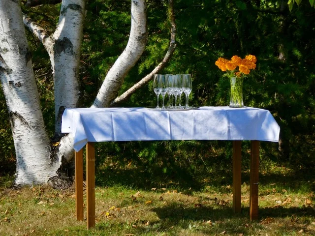 ๐ฅ๐พ Conclude your wedding with a Champagne toast And, it doesnโt have to be Champagne! Other beverages are available for toasting. Bubbly drinks of any kind, in a sea side garden or close to the water, is a special way to celebrate the vows you just exchanged. Sunlight or moon shine filtered through a raised glass, in praise of a new couple, is a memorable moment of delight.