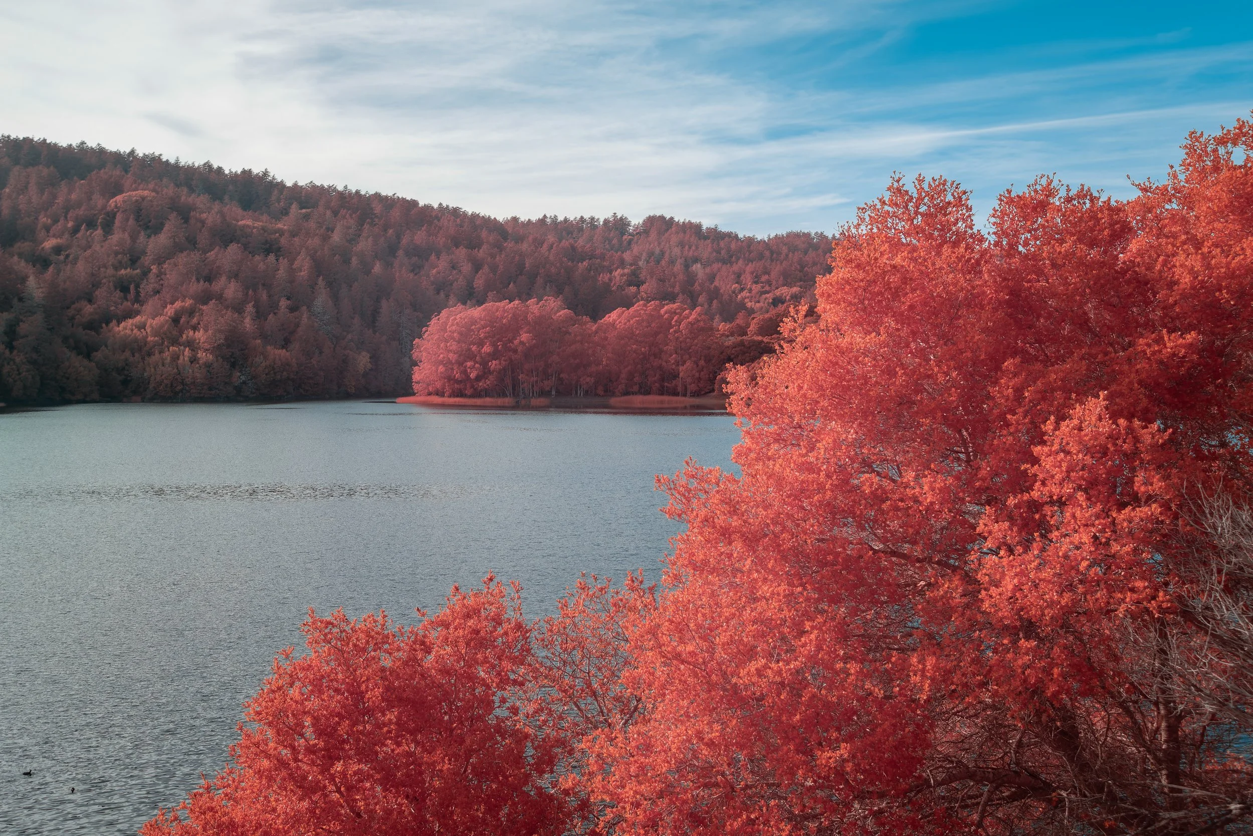 Dabbling in IR Photography