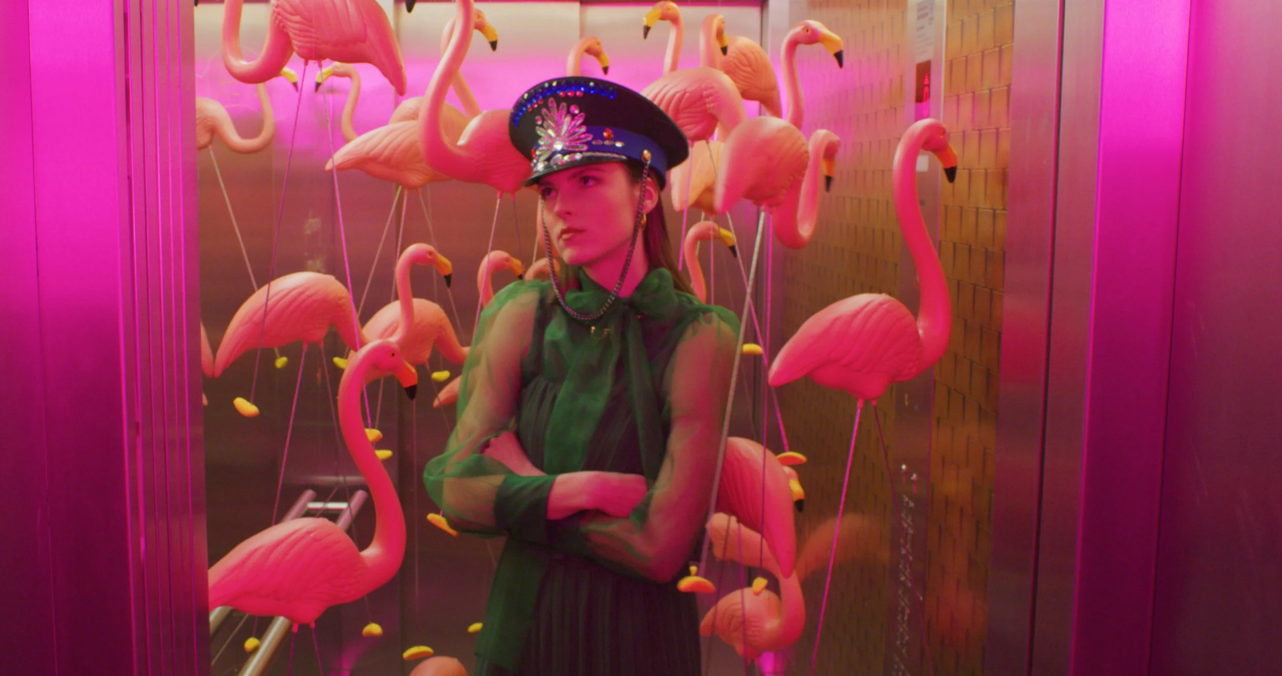 MOXY FLAMINGOS.jpg