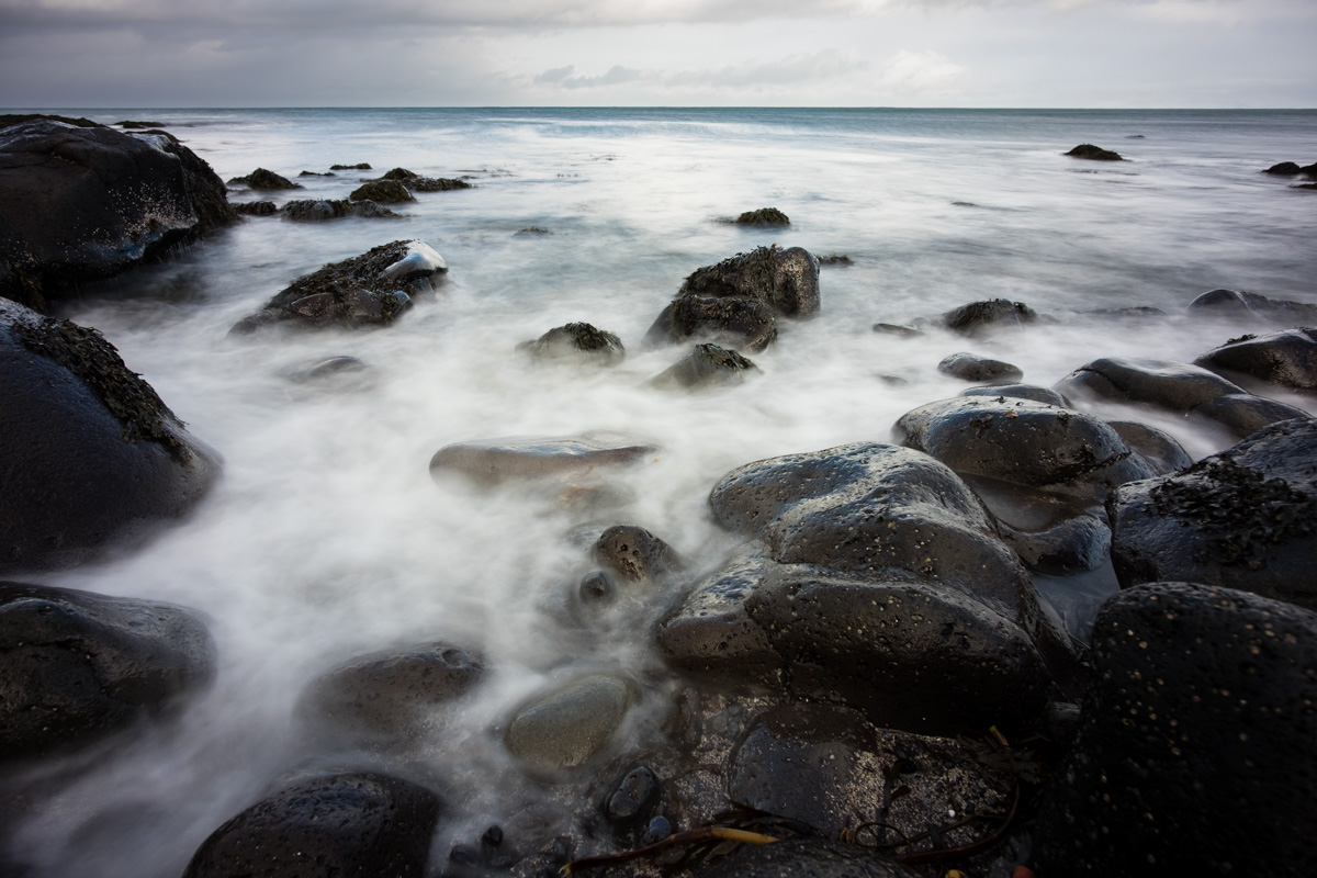 NMP-Landscapes-0285.jpg