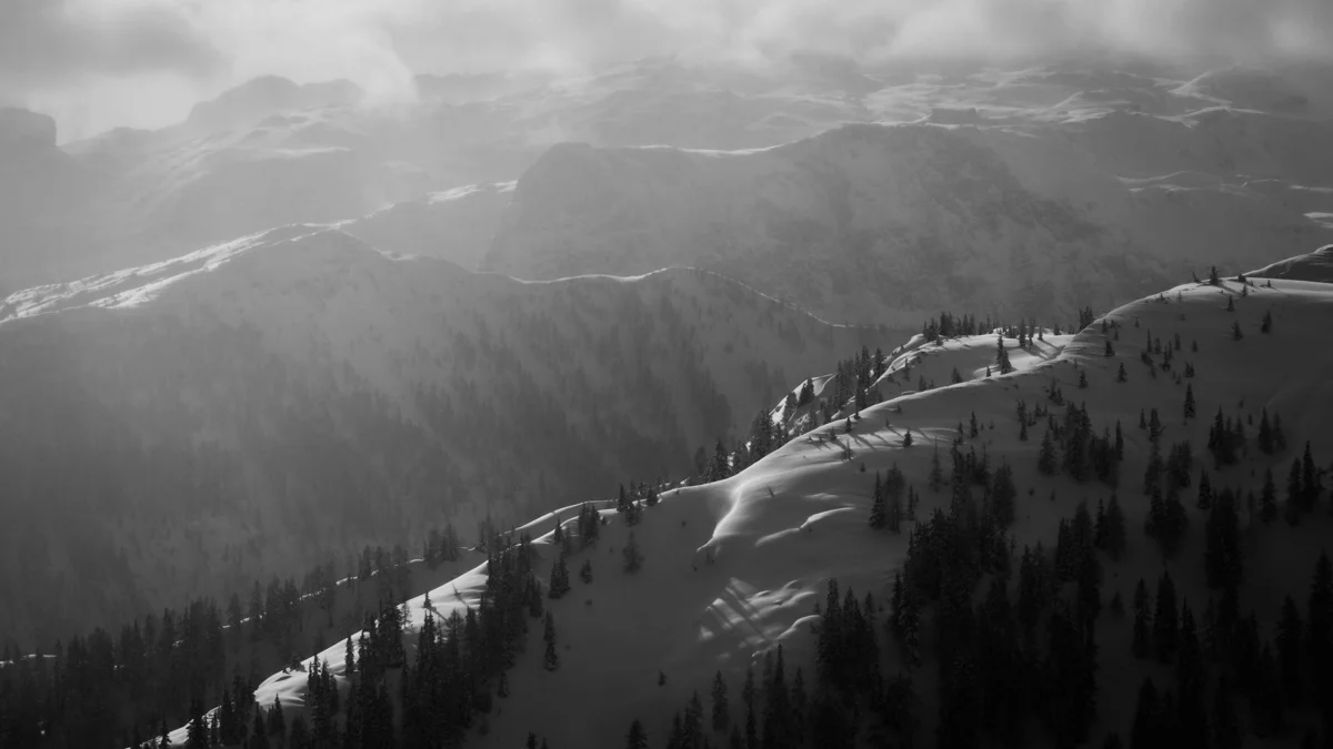 NMP-Landscapes-0937.jpg