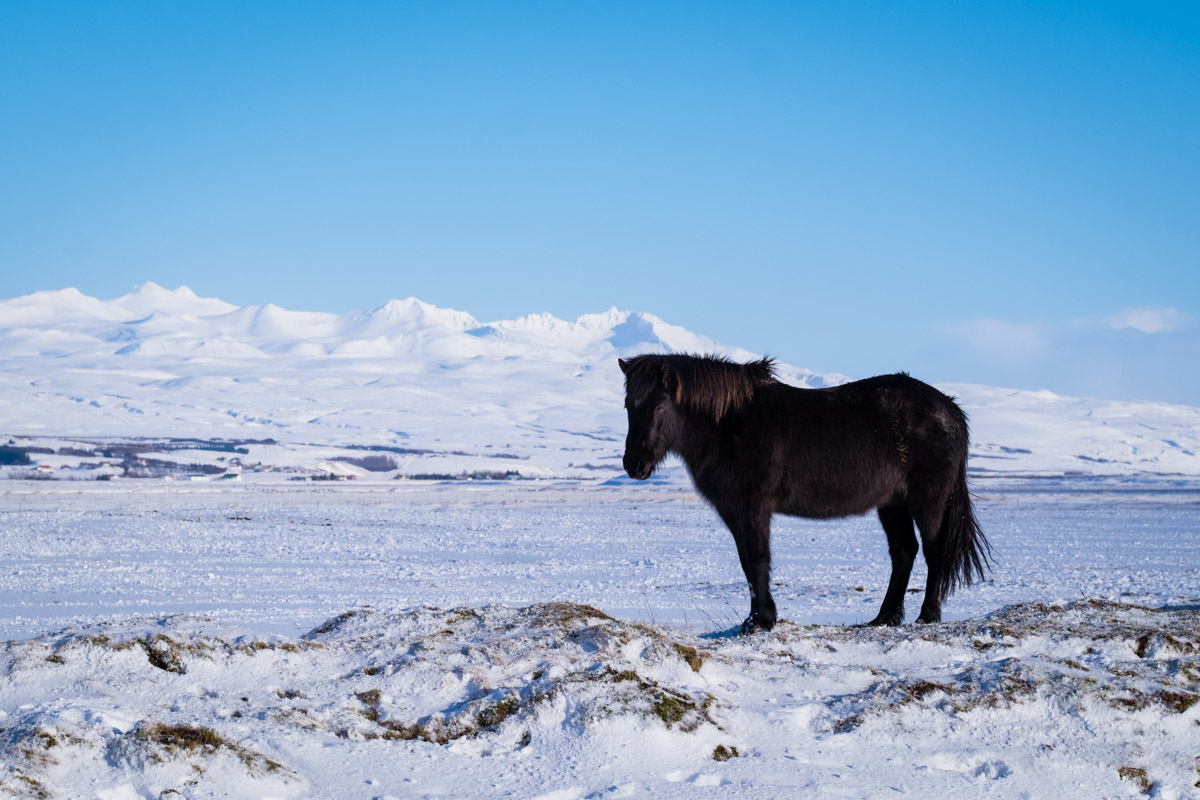 NMP-Landscapes-1477.jpg