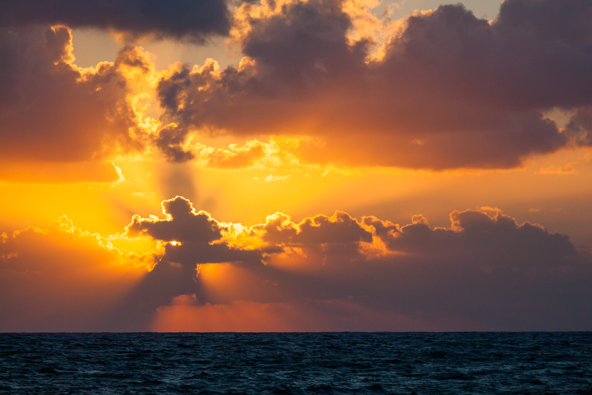 NMP-Landscapes-5799.jpg