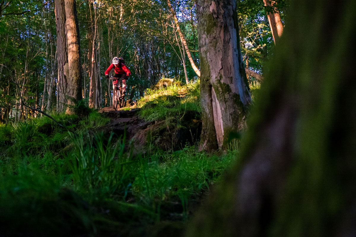 NMP-website-bikes-0161.jpg