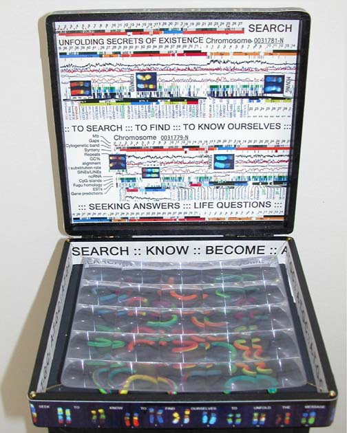 Neva Setlow-Chromosome Box #2-Sq.jpg