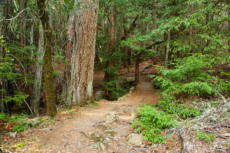 Start of the T.C.C. Trail
