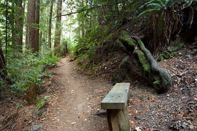 Trail directions on the bench