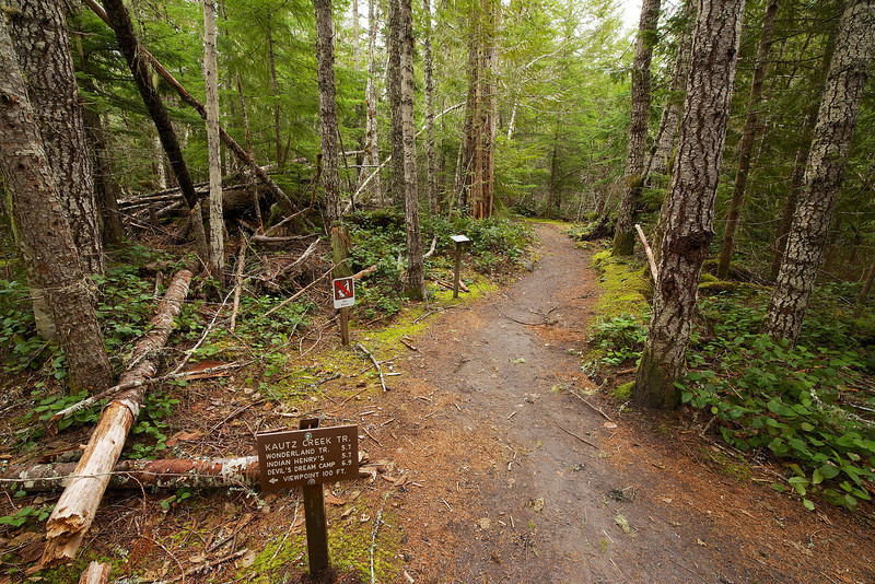 Trailhead for Kautz Creek Trail