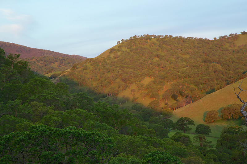Dawn light reaches the far hill.