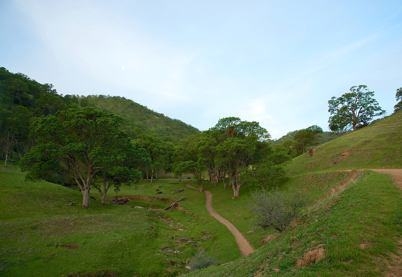 A side trail meanders next to the dry Round Valley creek bed.