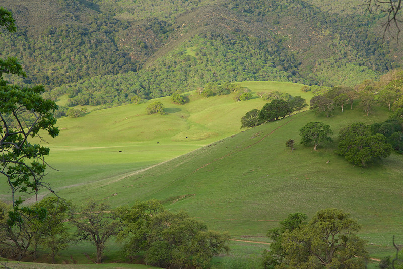 A view in to the valley below from the Hardy Canyon Trail