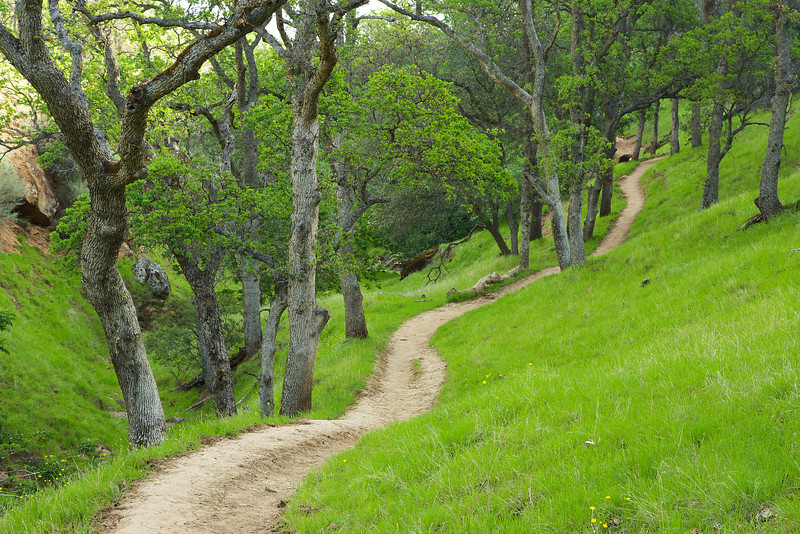 Hardy Canyon Trail along the north side of the park.