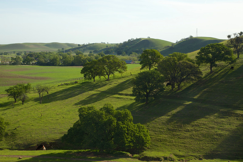 Ranch country.