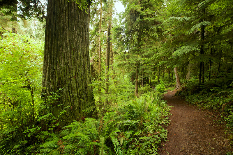 The trail pulls you in...