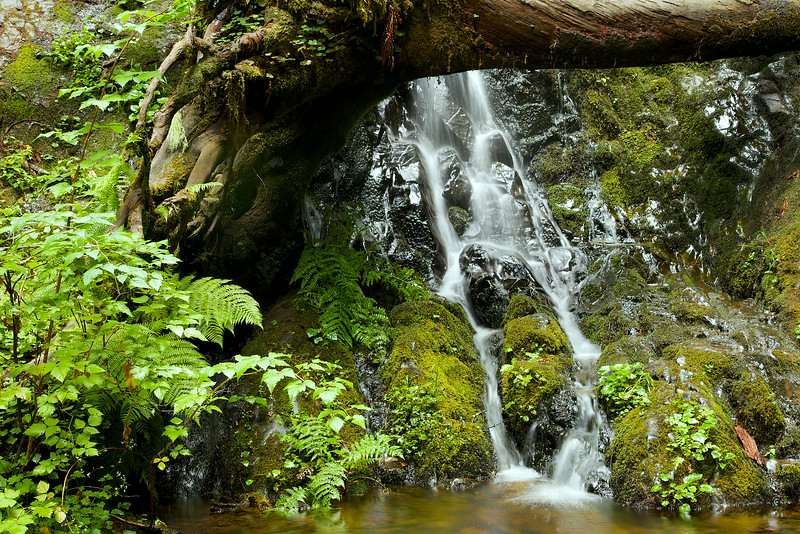 Close up of the falls.