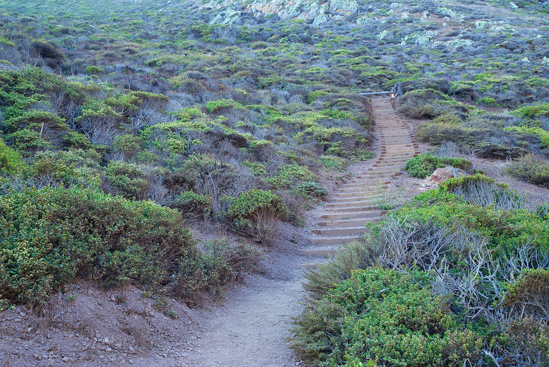 The steps up to the bunker