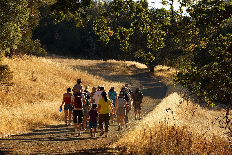 Michael leads the hikers to find Tarantulas.