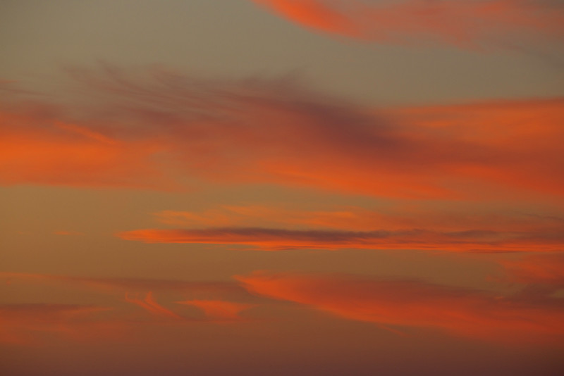 Evening show of color