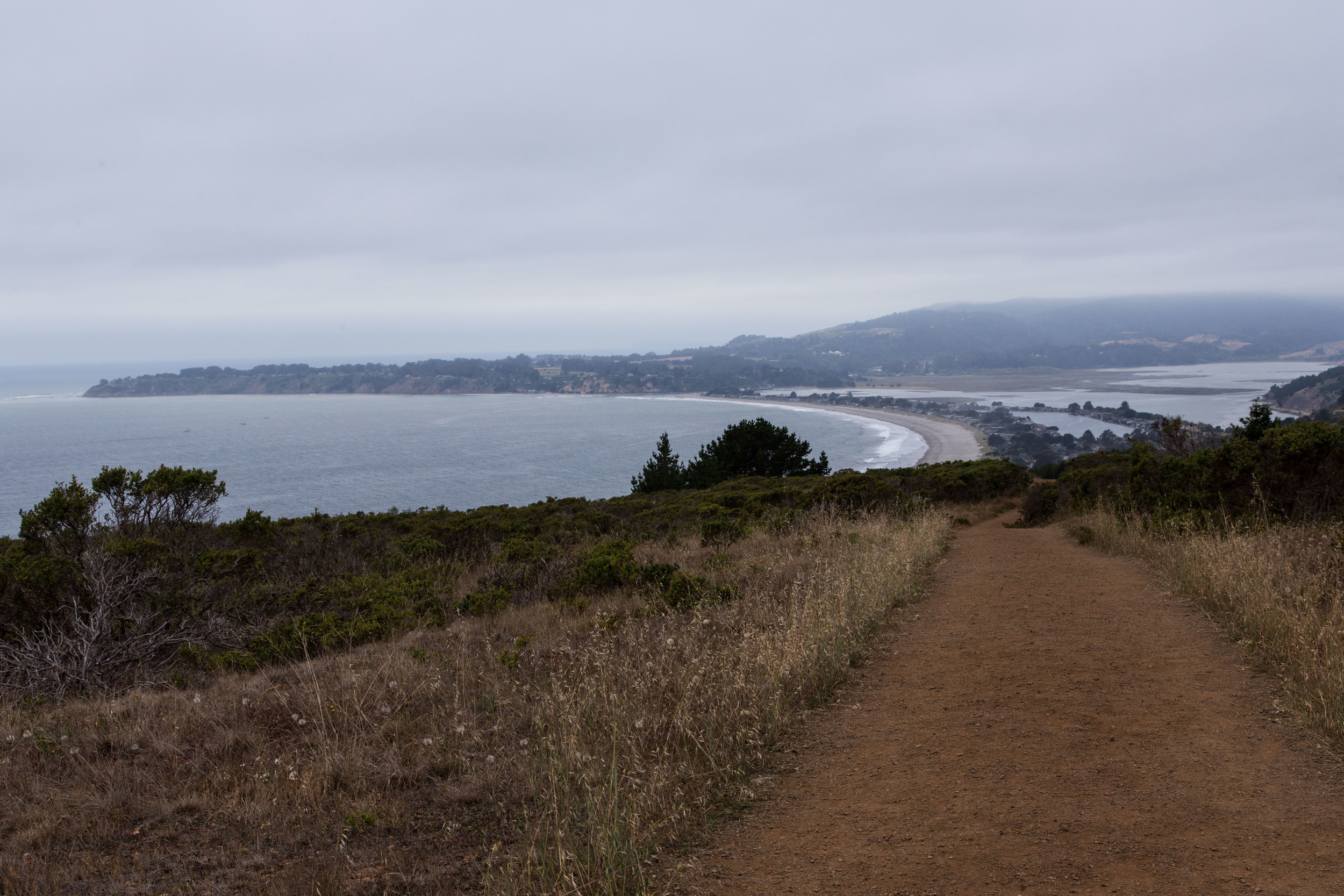 Dipsea Trail_-39.jpg