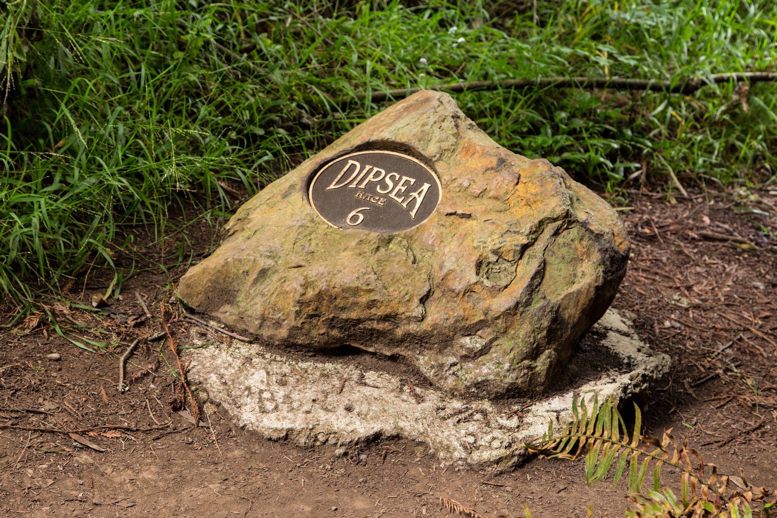 Dipsea Trail_-68.jpg