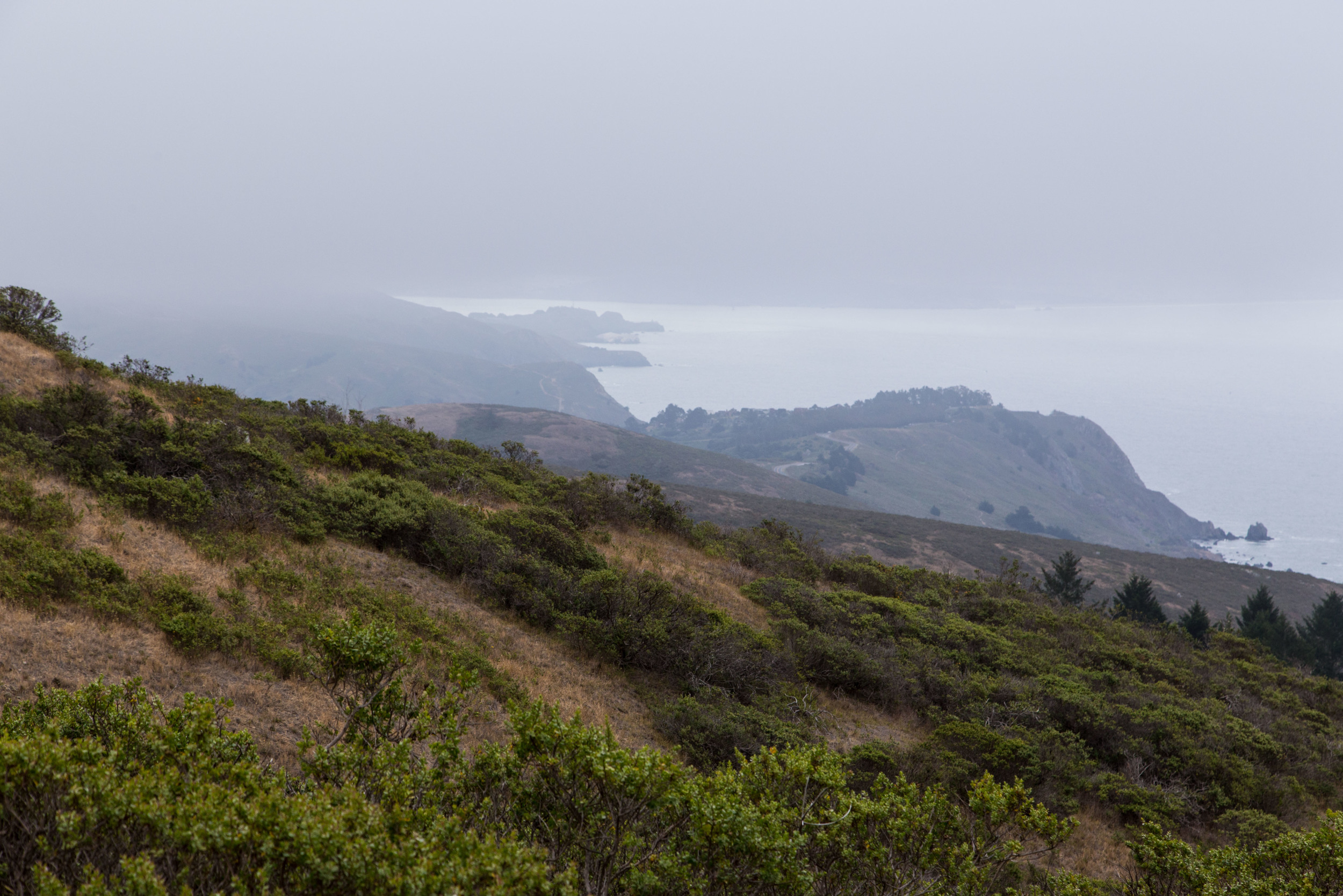 Dipsea Trail_-160.jpg