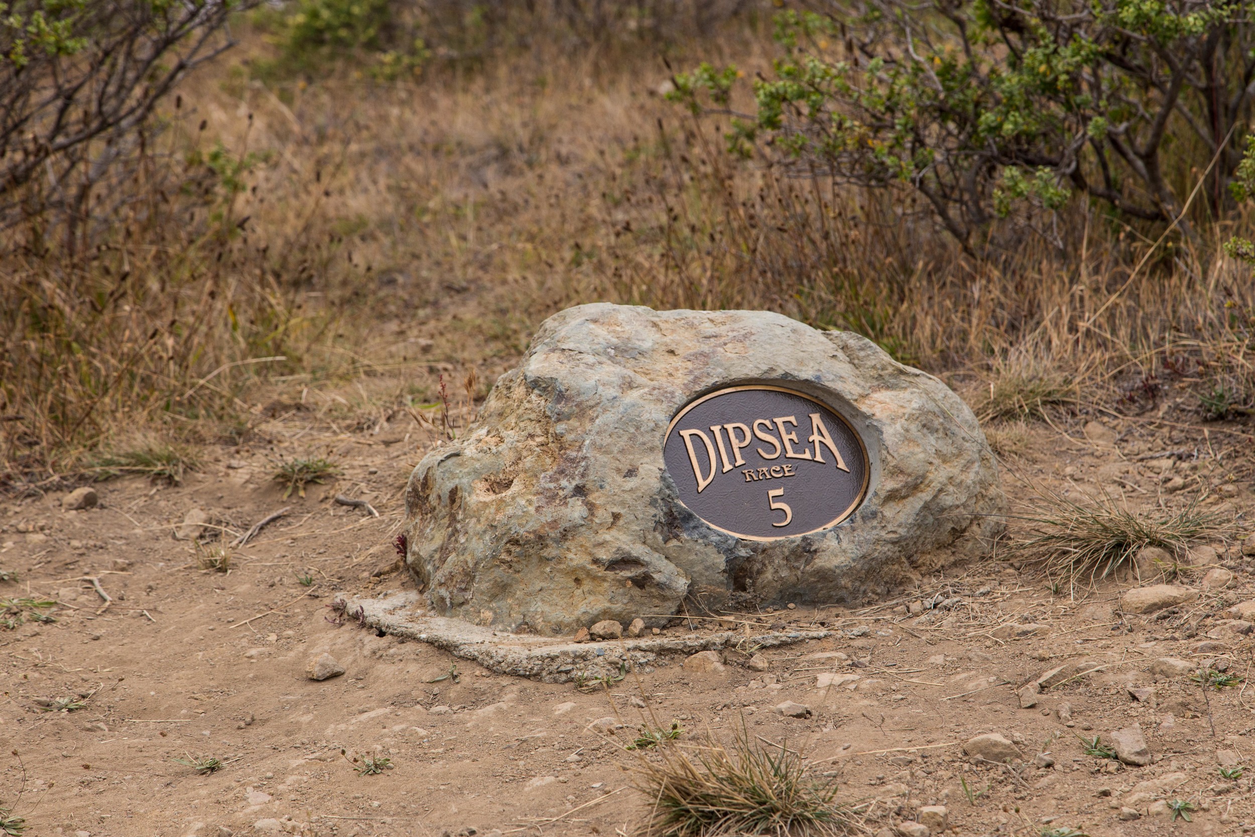 Dipsea Trail_-161.jpg