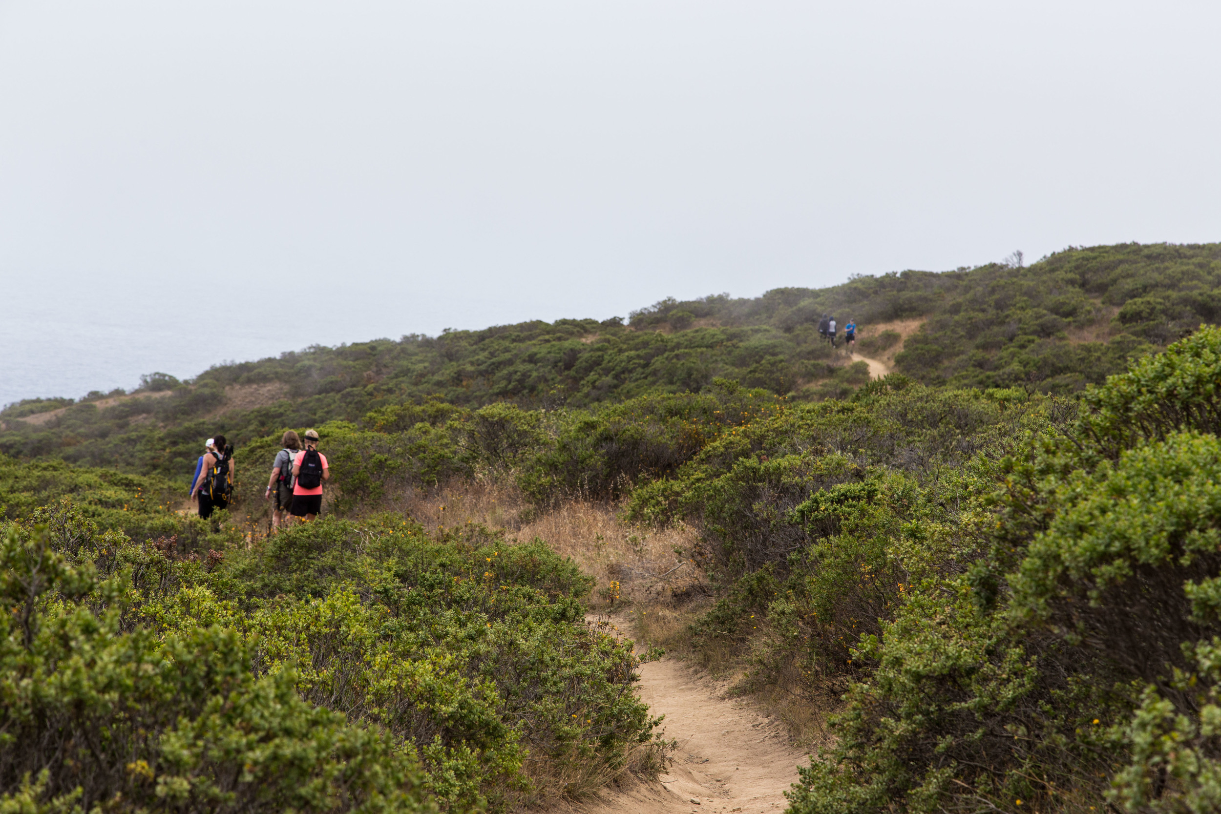 Dipsea Trail_-195.jpg