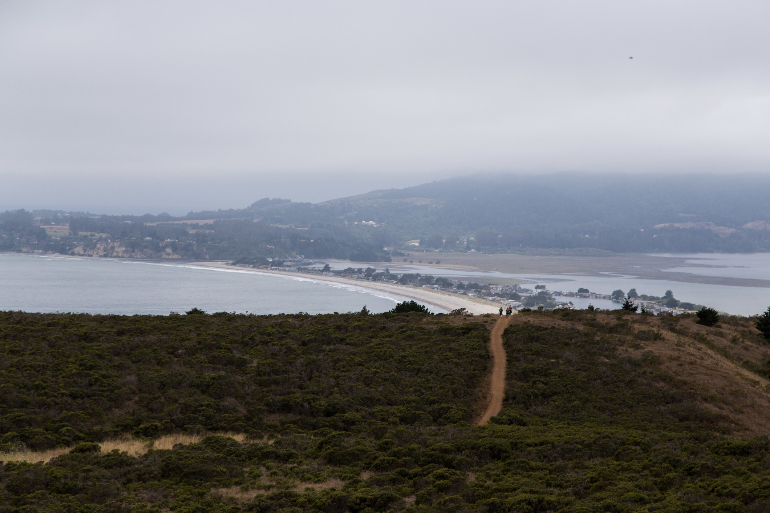 Dipsea Trail_-319.jpg