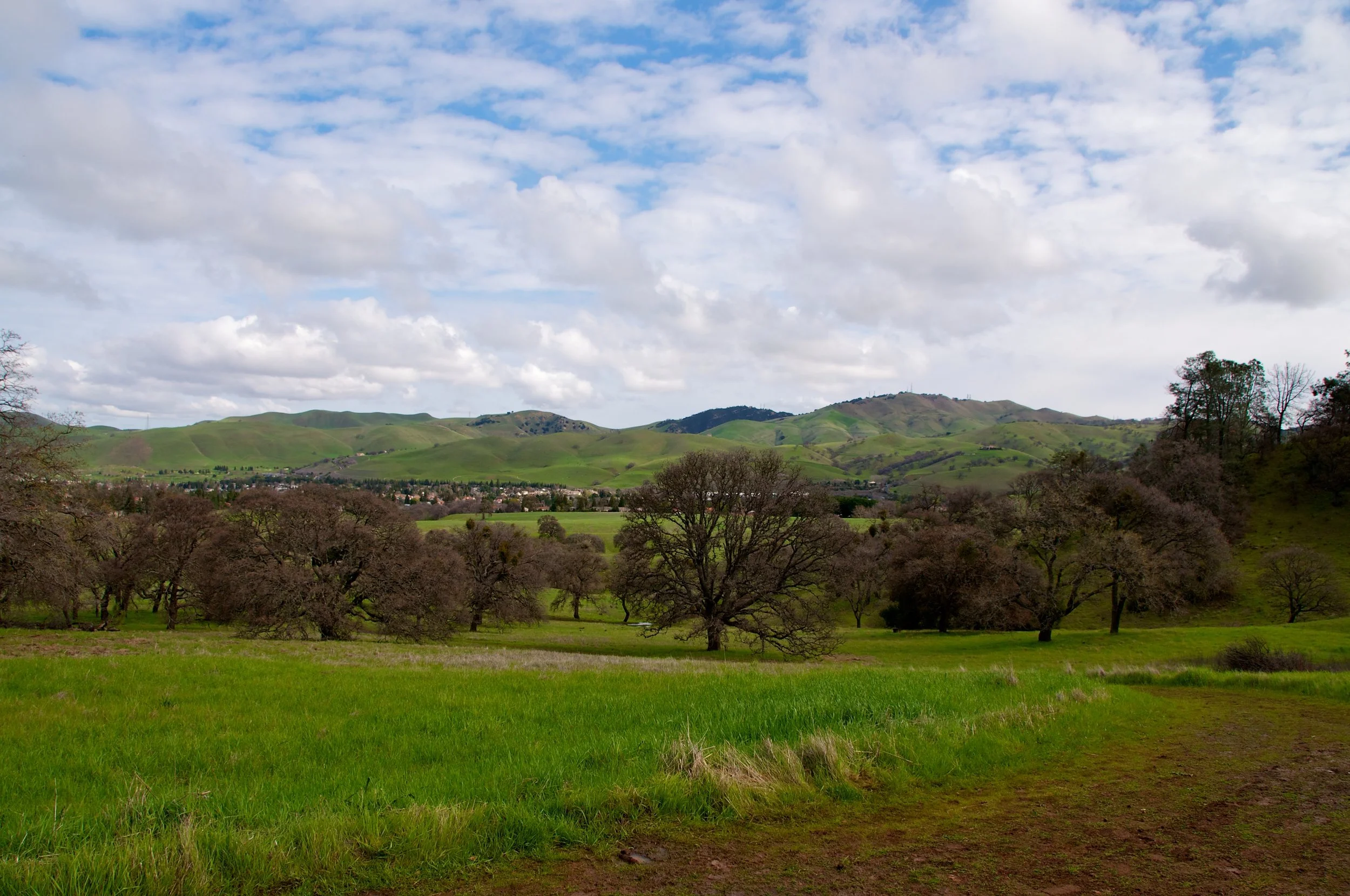 Mt. Diablo Hike 2_12_2011 - 2011-02-21 at 10-33-01.jpg