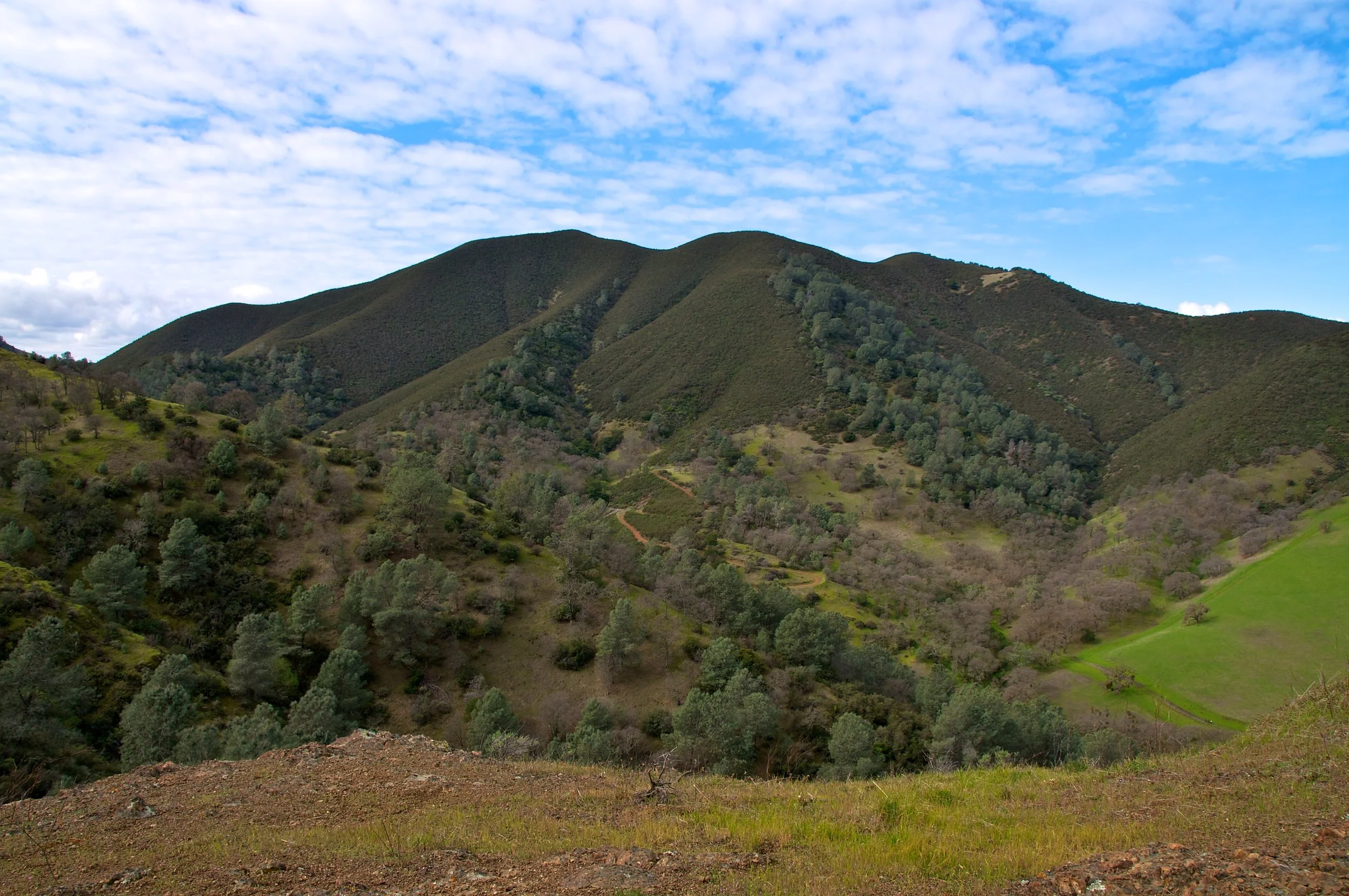 Mt. Diablo Hike 2_12_2011 - 2011-02-21 at 10-52-33.jpg