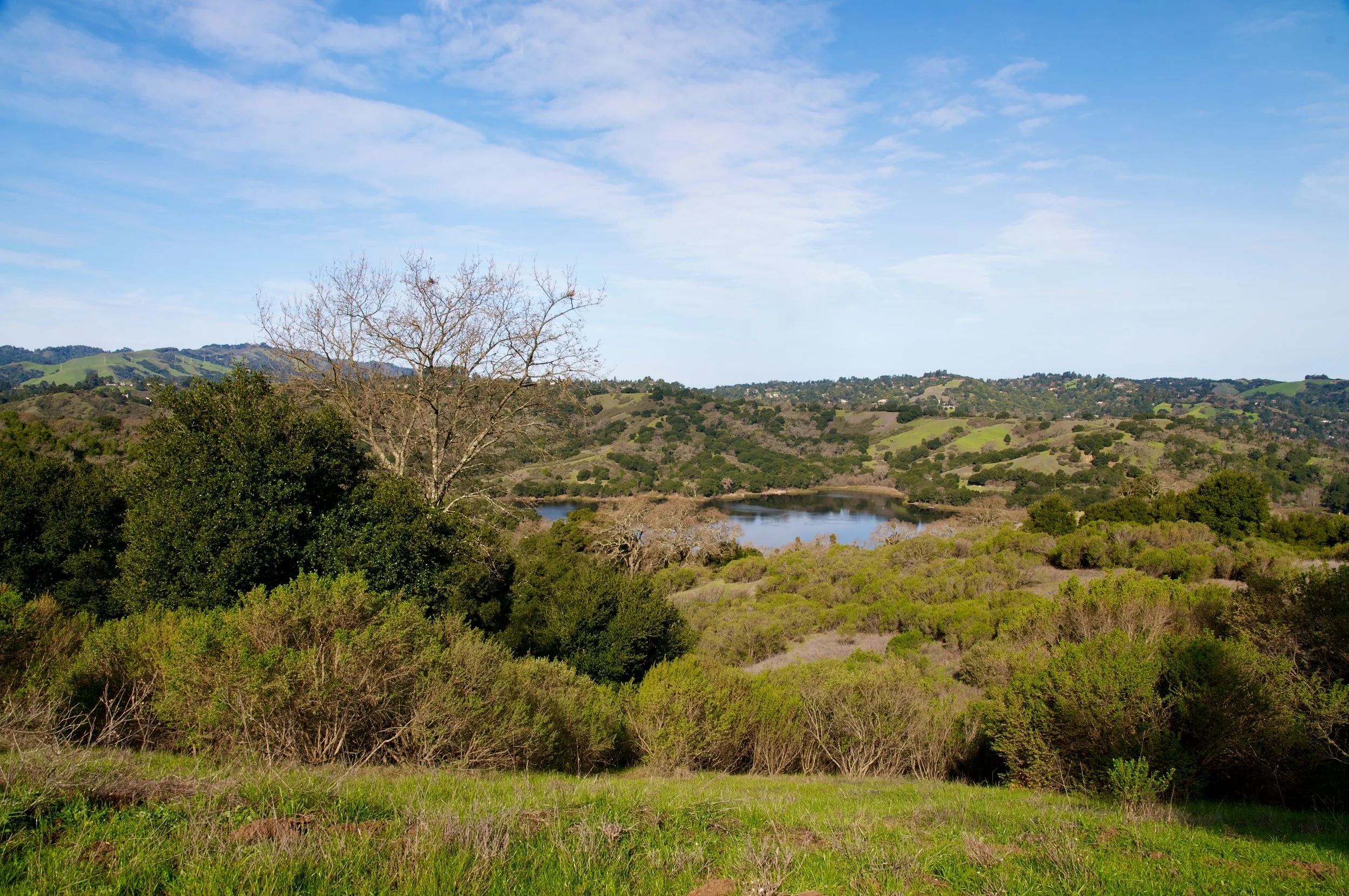 Rim trail 3_5_11 (2).jpg